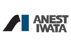 anest iwata